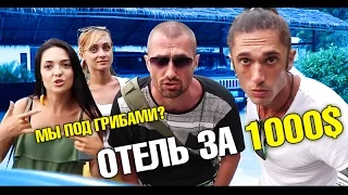 Отель за 1000$ в сутки. Мы все под грибами? Нас выгнали из отеля. Ужасный район Камала