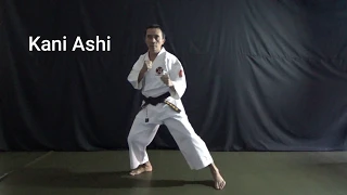 Shorinji Kempo - Ashi Sabaki (Basic Techniques 2)