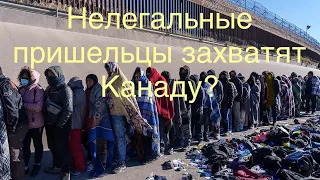 Нелегальные мигранты захватят Канаду. Канада в опасности!