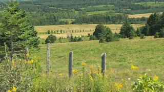 La semaine verte | Cannibalisation des terres agricoles