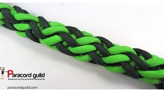 12 strand gaucho braid