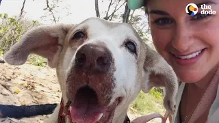 Dog Who Spent 7 Years In The Shelter Is SO Happy To Have A Family | The Dodo Faith = Restored