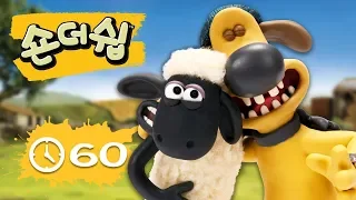 에피소드 31~40 - 숀 더쉽 - 편집 1 시간 - 시리즈 1 [Shaun the Sheep Korea | Compilation]