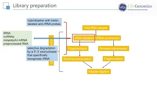 RNA Seq:  Principle and Workflow of RNA Sequencing