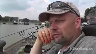 Matze Koch: Aale am Hafen tagsüber - Matzes Mätzchen 05-2015