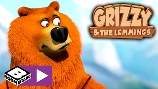 Grizzy och Lämlarna | Random Bear | Boomerang Sverige