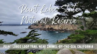 Hiking CALIFORNIA : Point Lobos Loop Trail | Point Lobos State Natural Reserve | 4K