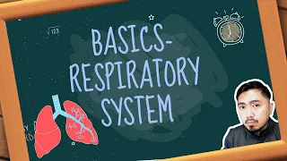 RESPIRATORY SYSTEM | Basics