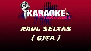 RAUL SEIXAS - GITA ( KARAOKE )