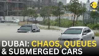 Dubai Floods 2024 LIVE: Dubai faces massive clean up after deluge swamps glitzy desert city | WION