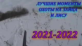 ЛУЧШИЕ МОМЕНТЫ ОХОТЫ НА ЗАЙЦА И ЛИСУ/2021-2022Г.