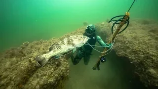 Spearfishing for GIANT Grouper In Ocean!! (Dangerous shot) | Jiggin' With Jordan
