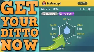 GET YOUR 6IV MASUDA DITTO NOW!!!!!!!!!  For Pokemon Scarlet and Violet!