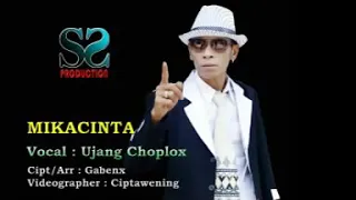 Mikacinta ujang choplox