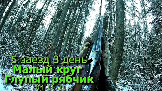 5 заезд 3 день Малый круг Глупый рябчик 04 11 21