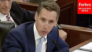 Josh Hawley: 'Want To Make Sure That We Are Not In Any Way Opening A Door For Any Chinese Entities'