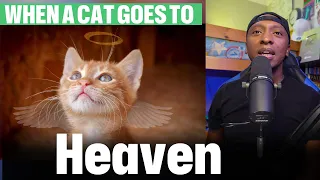 Do PETS REALLY Go To HEAVEN?!