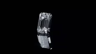 Exceptional Stone (The Art of de GRISOGONO - 404cts - Released)