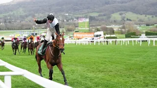 TEAHUPOO batters bookies with Stayers' Hurdle glory