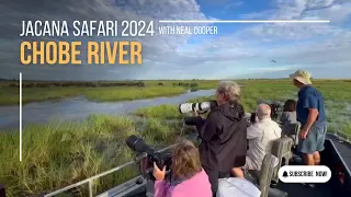 Chobe Jacana Safari | 6 - 10 April 2024