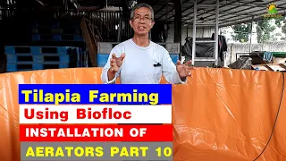 TILAPIA FARMING USING BIOFLOC INSTALLATION OF AERATORS PART 10