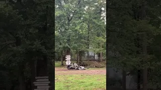 German mortar and anti tank (Pak 36) @ Eyewitness Overloon