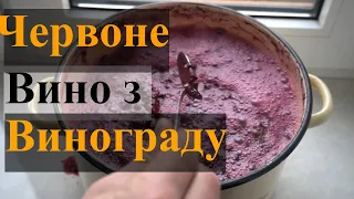 Червоне напівсолодке вино з винограду. Як зробити домашнє вино з синього винограду.