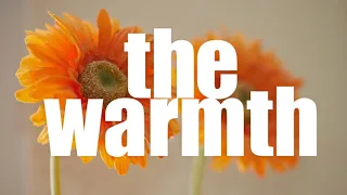 the warmth (morphic field)