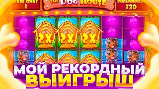 ВЫБИЛ БОНУСКУ ЗА 800к В THE DOG HOUSE MEGAWAYS ! ПОКУПАЮ ДОРОГИЕ БОНУСКИ ! ЗАНОС?