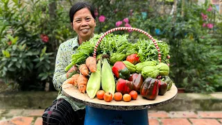 An Exciting, Peaceful And Attractive Harvest Journey In the Home Garden