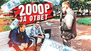 Плачу 2000 рублей за ответы на  музыкальные вопросы / Негодяй TV