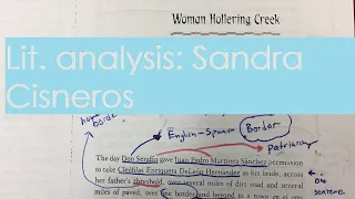 Border Metaphors and Narrative Techniques in Sandra Cisneros' WOMAN HOLLERING CREEK