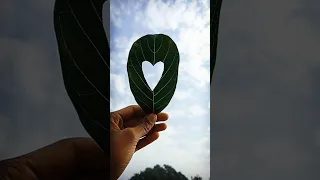 ❤️❤️SAME TIME NATURE IS VERY BEAUTIFUL MOMENT WITH YOU.❤️❤️.......... #viral #shots #youtub #Love#..