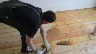 Gap filling wooden pine floor with filler and sawdust mix