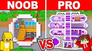 NOOB vs PRO: MODERN MOUNTAIN HOUSE Build Challenge Minecraft