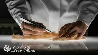 Loro Piana Savoir-Faire: Vicuna