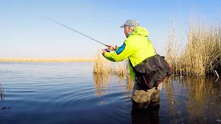 ОКУНЬ ДУРЕЕТ ПОСЛЕ НЕРЕСТА! Рыбалка на МикроДжиг и Отводной с берега!