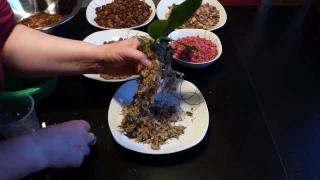 Orchideen Pflege-Tipps - Folge 3: Umtopfen in Orchideen-Topf mit Substrat