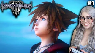 Kingdom Hearts 3 Is BEAUTIFUL! - My First Time Playing Kingdom Hearts 3 | Full Playthrough