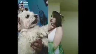 Funny Tik Tok Ironic Memes Compilation V66 WAR AGAINST FURRIES! -GAMERS - FURRYWAR - DDD - NOFURRIES