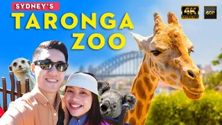 TARONGA ZOO TOUR | THINGS TO DO IN SYDNEY AUSTRALIA! 🇦🇺