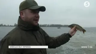 Рибоохоронний патруль на сторожі - у Канівське водосховище випустили три тонни риби