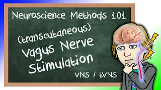 Vagus Nerve Stimulation Explained! (VNS/tVNS) | Neuroscience Methods 101