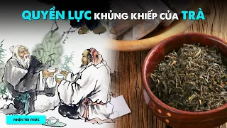 Tại sao TRÀ là thứ ĐỒ UỐNG QUYỀN LỰC NHẤT thế giới? | Tedisious | THẾ GIỚI