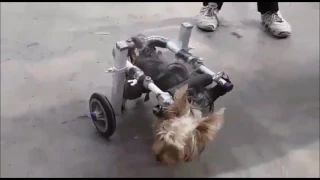 Toy wheelchair