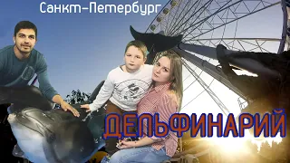 ДЕЛЬФИНАРИЙ. Санкт-Петербург. VLOG