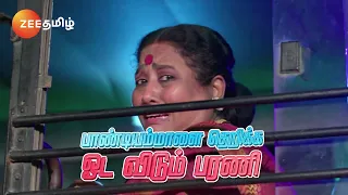 ANNA (அண்ணா) | தினமும் இரவு 8.30 மணிக்கு | 01 Apr 24 | Promo | Zee Tamil