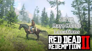 HORSES.  All 10 RARE HORSE LOCATION. RED DEAD REDEMPTION2.