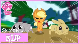 Applejack Pomaga Fluttershy | MLP | Sezon 1 | Odcinek 4 | Sezon na Jabłka