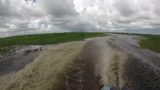 SWAMP SHARK DRIVE BOAT-8-1-18